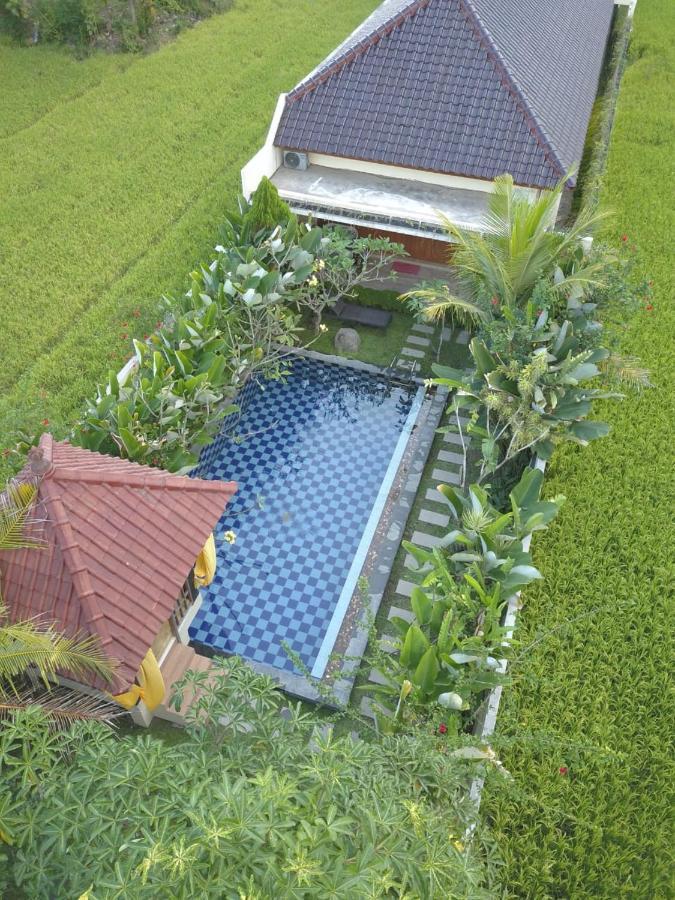 Rosseno Villa ยอกยาการ์ตา ภายนอก รูปภาพ