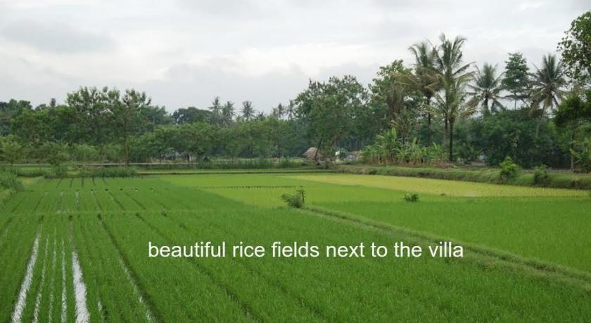 Rosseno Villa ยอกยาการ์ตา ภายนอก รูปภาพ